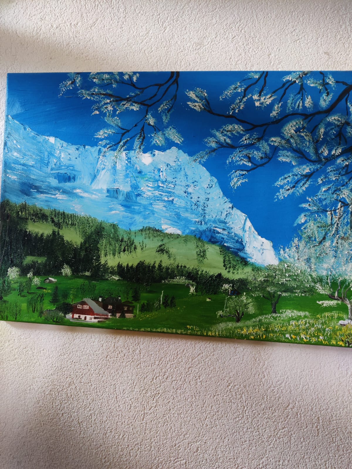 Eigner Grindelwald Schweiz